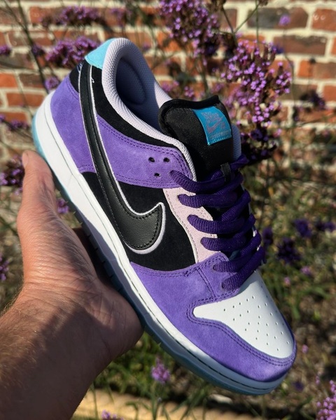 Hayley Wilson x Nike SB Dunk Low Releasing Summer 2025